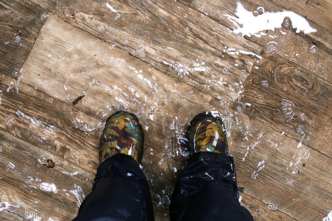 The Most Common Causes for Residential Water Damage