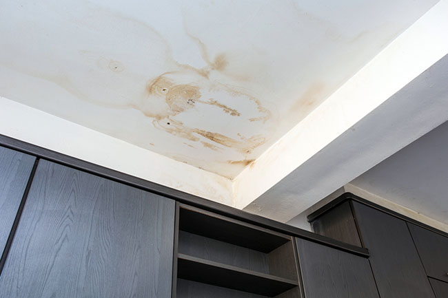 If You are Looking to Buy a Home, Be on the Lookout for Signs of Water Damage