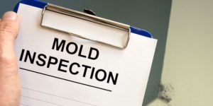 Mold Inspection