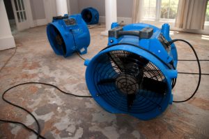 5 Things to Keep an Eye Out for With Flood Damage
