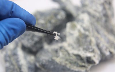 4 Interesting Facts About Asbestos