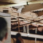 Crawlspace Mold
