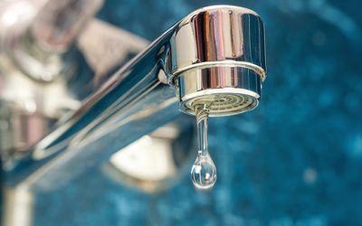 3 Ways to Prevent Mold Damage