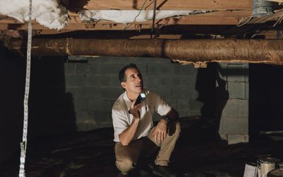 What to Do if You Have Crawlspace Mold