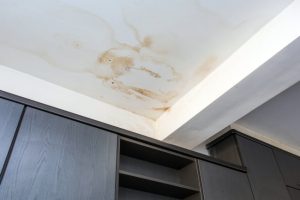 How to Tell if You Need Mold Removal Services