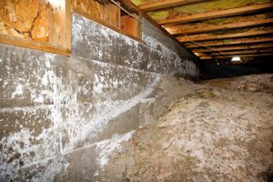 Signs You May Have Crawlspace Mold