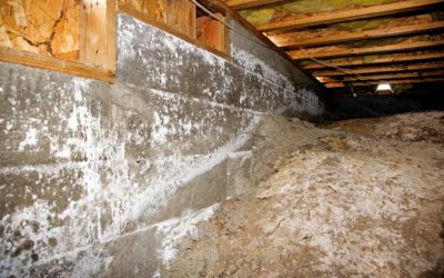 Signs You May Have Crawlspace Mold