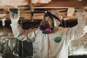 What You Need to Know About Mold Remediation