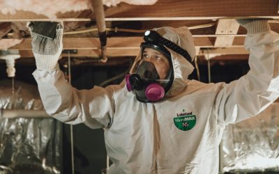 What You Need to Know About Mold Remediation