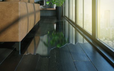 Why Water Damage Must Be Addressed Quickly