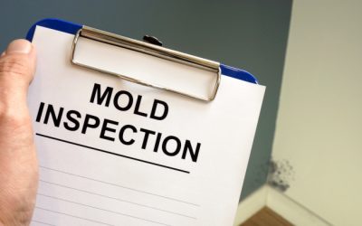 Signs You Need to Hire a Mold Inspection Service