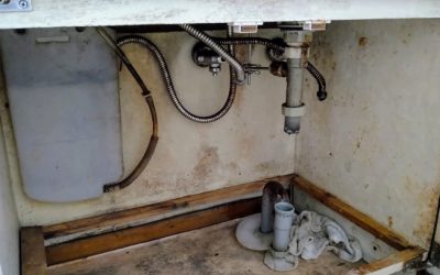 Common Household Problems That Can Lead to Mold Damage