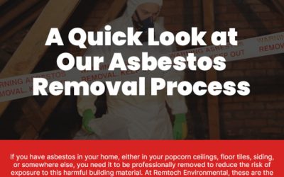 A Quick Look at Our Asbestos Removal Process [infographic]