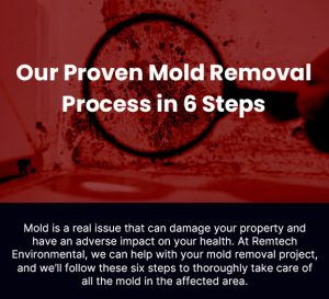 Our Proven Mold Removal Process in 6 Steps [infographic]