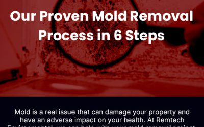 Our Proven Mold Removal Process in 6 Steps [infographic]