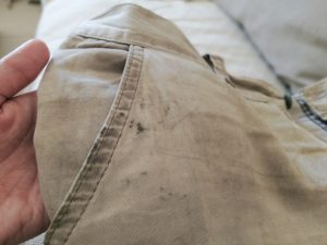 Look Out for These Lesser-Known Signs of Mold Damage