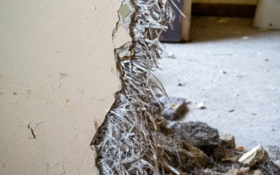 3 Things to Know About Asbestos in Homes